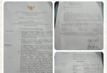 Skandal Birokrasi di Lahat: SK Pemberhentian Sekdes Lubuk Layang Ilir Diduga Jadi Alat Pembungkaman Saksi Korupsi Dana Desa