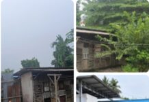 Kandang Ayam Berdempetan, Dapur Dinilai Kecil Untuk Ribuan Porsi MBG: SPPG Klambir Lima DISOROT!