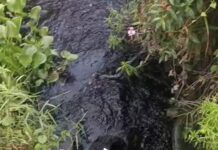 DIMINTA KEMENTRIAN LINGKUNGAN HIDUP DAN GAKUM BERTINDAK DIDUGA PT IYAL BUANG LIMBAH CAIR KE SUNGAI GEDUNG BURU