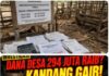 Geger! Dana Desa Sumber Makmur Nibung Muratara Rp 294 Juta Diduga Raib: Anggaran Peternakan Rp 159 Juta (2024) & Rp 135 Juta (2025) Diduga Jadi Bancakan!