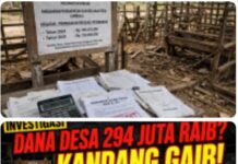 Geger! Dana Desa Sumber Makmur Nibung Muratara Rp 294 Juta Diduga Raib: Anggaran Peternakan Rp 159 Juta (2024) & Rp 135 Juta (2025) Diduga Jadi Bancakan!
