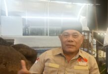 “886 UNIT KENDERAAN MILIK PEMKAB PURWAKARTA TIDAK DIKETAHUI KEBERADAANYA. DIMINTAK PIHAK KORTAS TIPIDKOR POLRI TURUN TANGAN”