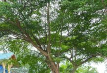 Dit Polairud Polda Sumsel Laksanakan Jumat Berkah kepada Masyarakat