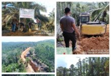 Tetap Panen Di Lahan Negara, Masyarakat Sesalkan Sikap PT Barapala