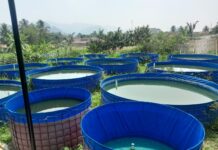 Masyarakat Cibogo Hilir Apresiasi Kinerja BUMDES Dan Kades”