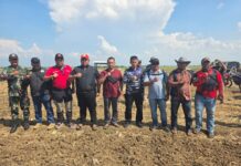 Pangkalan TNI AL Pastikan Lahan Untuk Ketahanan Pangan Nasional Kedelai Kondusif & Siap Amankan