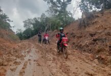 M. Lekat Gonzales Rakyat Sumsel Menjerit! Infrastruktur Jalintengsum di Muba Dinilai Amburadul,