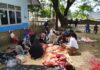 Masjid Al-Ukhuwwah Sulit Air Sepakat (SAS) Jalan Penyaringan Palembang Salurkan Hewan Kurban Tanpa Kupon