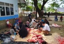 Masjid Al-Ukhuwwah Sulit Air Sepakat (SAS) Jalan Penyaringan Palembang Salurkan Hewan Kurban Tanpa Kupon