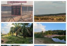 MASYARAKAT PERTANYAKAN HGU PERKEBUNAN BISA DI JADIKAN TAMBANG OLEH PTBA.