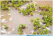 Skandal AGM: Dugaan Konspirasi Institusional dalam Penetapan Objek Vital Nasional dan Konflik Agraria di Hulu Sungai Selatan