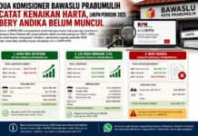 LHKPN Tiga Komisioner Bawaslu Prabumulih Berbeda, Dua Naik Signifikan Satu Belum Tampil di Sistem KPK