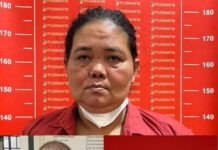 Jan Daniel Sitorus Sempat Ditangguhkan, Kemudian Diamankan di Pekanbaru; Berkas Nina Wati P-21