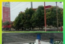 Polda Sumsel Dan Pertamina Patra Niaga Regional Sumbagsel Pura-pura Tidak Tahu, Skandal Dugaan Mafia BBM Bersubsidi di SPBU 24.316.89 Sungai Jauh Kabupaten Muratara