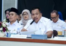PLN, Kementerian ESDM, dan Pemerintah Daerah Sinkronkan Program Lisdes, Percepat Pemerataan Kelistrikan di Sumatera Selatan*