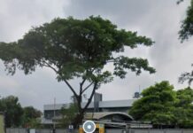“4 Bulan Pasca-Kecelakaan Kerja, Karyawan PT. MULTI INDOMANDIRI (MIM) Belum Terima Ganti Rugi Biaya Pengobatan”