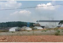 Bau Busuk Pabrik Kelapa Sawit Mitra Muratara Sejahtera (MMS) Resahkan Warga Dan Pengguna Jalan Lintas Sumatera