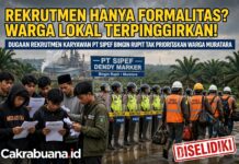 Rekrutmen Hanya Formalitas? PT SIPEF Dendy Marker Bingin Rupit Diduga Tak Prioritaskan Warga Muratara, Kebanyakan Dari Medan!