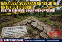 Dana Desa Sosokkan Rp 198,5 Juta Untuk Jalan Usaha Tani Disorot, Fisik Tak Sesuai RAB, Diduga Mark-up Volume!