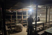 Reaksi Cepat, Sat Reskrim Polres Simalungun Tindaklanjuti Aduan Dugaan Sabung Ayam di Karang Bangun