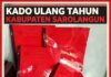 “Alihb-bAlih Ucapan Selamat HUT, Bupati Sarolangun Justru Dikirim Laporan ke Mendagri — Abaikan Putusan Mahkamah Agung RI”