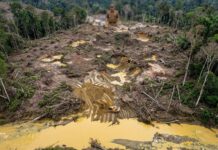 “Dugaan Keterlibatan Oknum ASN BKPSDM Muratara Dalam Aktivitas PETI di Wilayah Ulu Rawas Mencuat, Aparat Diminta Tindak Tegas!”