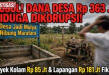 BOBOL! Dugaan Penyelewengan Dana Desa Jadi Mulya Nibung Rp 363 Juta Mencuat, Proyek Kolam Karamba Rp 85 Juta & Sarana Pemuda Rp 181 Juta Diduga Fiktif!