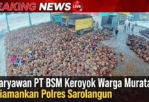 “Gara-gara Protes Sortiran TBS, Warga Muratara Dikeroyok 5 Karyawan Pabrik Sawit PT BSM Singkut, 3 Pelaku Dibekuk Polres Sarolangun!”