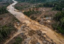 “Sungai Rawas Diduga Tercemar Berat Akibat PETI Besar-Besaran di Ulu Rawas! Warga Desak Kapolres Muratara AKBP Ardy Agung Permadi yang Baru Turun Tangan!”