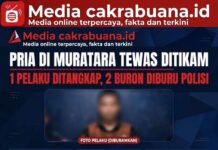 “Gerak Cepat! Tim Gabungan Polsek Rawas Ilir dan Polres Muratara Tangkap Pelaku Pengeroyokan Maut di Rawas Ilir Kurang dari 3 Jam, 1 Pelaku Ditangkap, 2 Buron Diburu!”